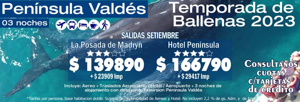 Ballenas en PenÍnsula Valdés