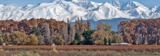 Viajes a Mendoza