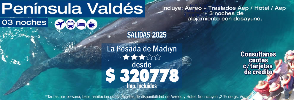 Ballenas en PenÍnsula Valdés